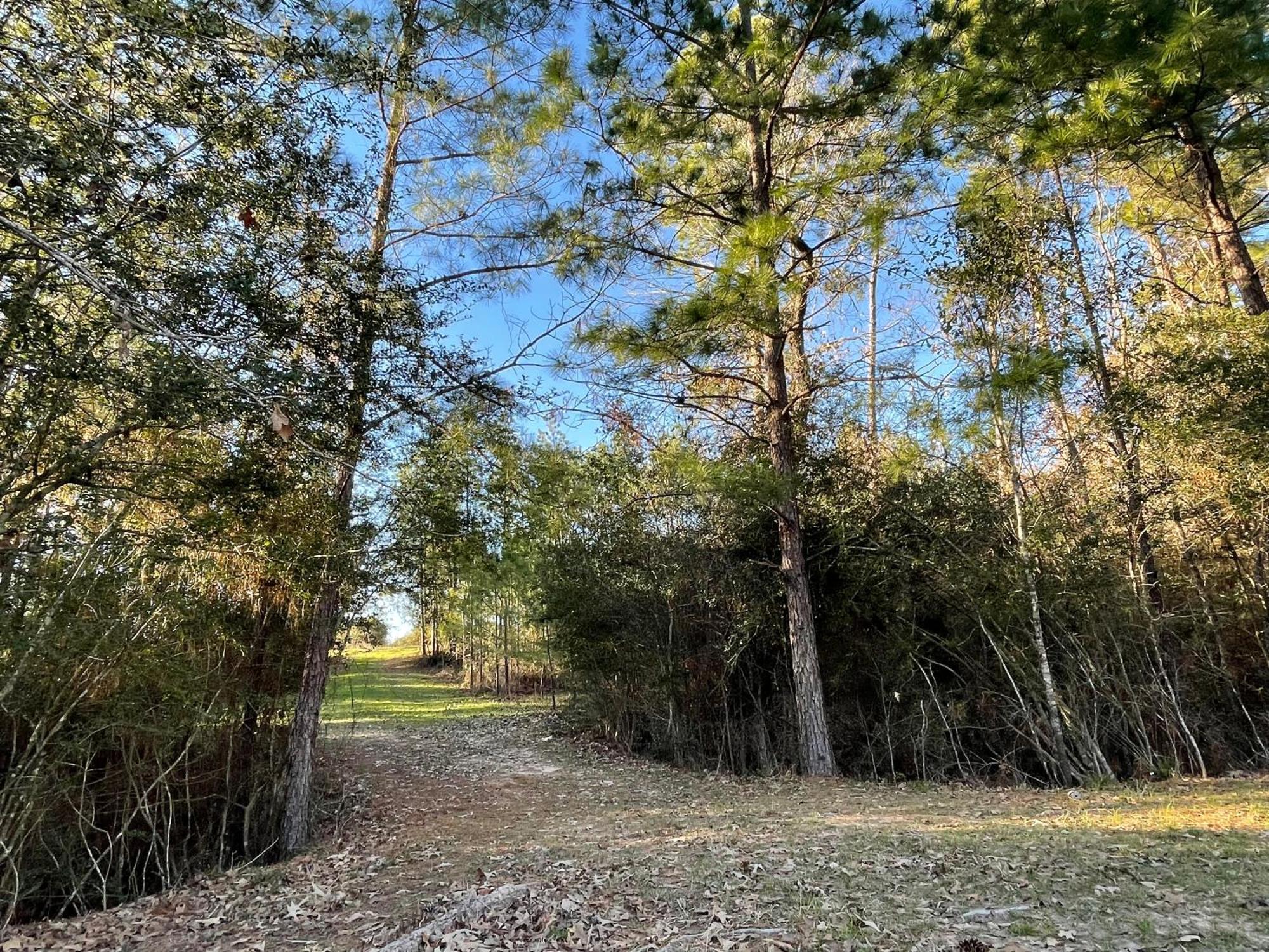 Country Getaway 4 Bedroom Resort In 10 Acre Lot Magnolia Exterior foto